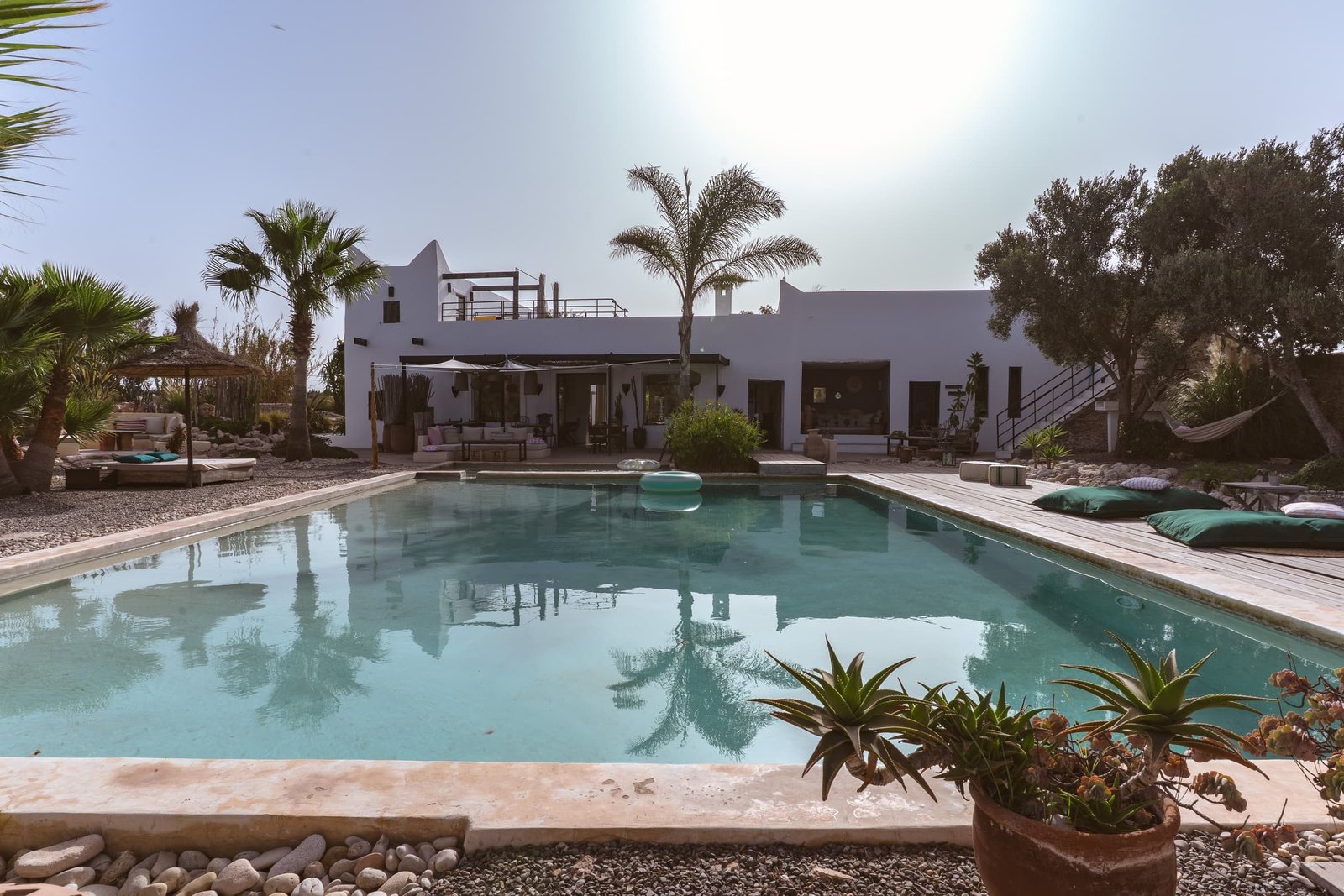 La grande piscine turquoise et la maison blanche derrière, un agave en pot au premier plan