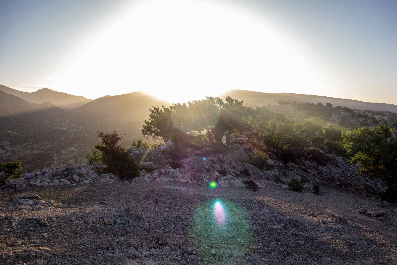 La campagne et les arbres sur la route entre Marrakech et l’océan