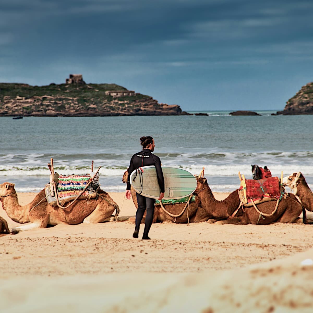 Un dromadaire et son guide sur la plage