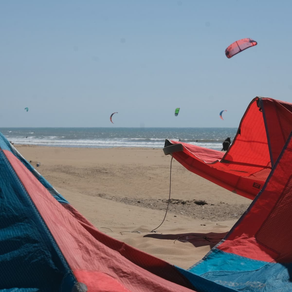 Des ailes de kitesurf au-dessus de la plage