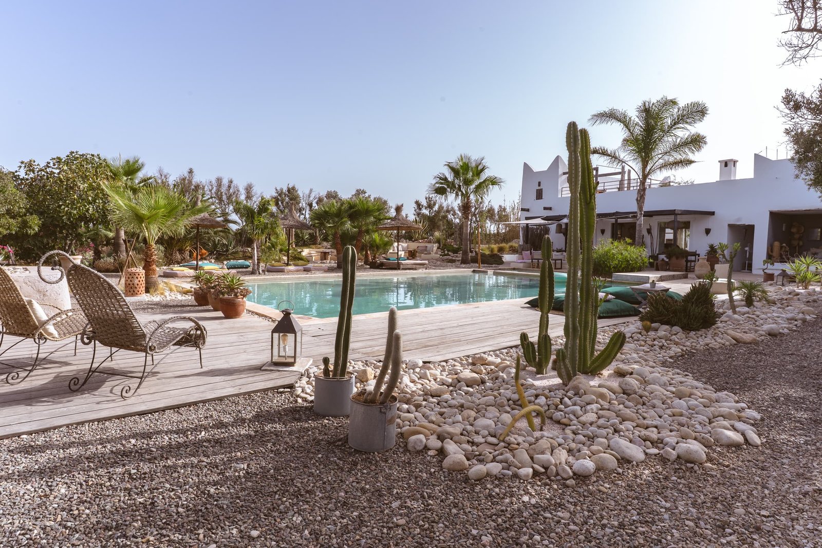 Cactus et galets blancs au bord de la piscine, la maison au fond du jardin