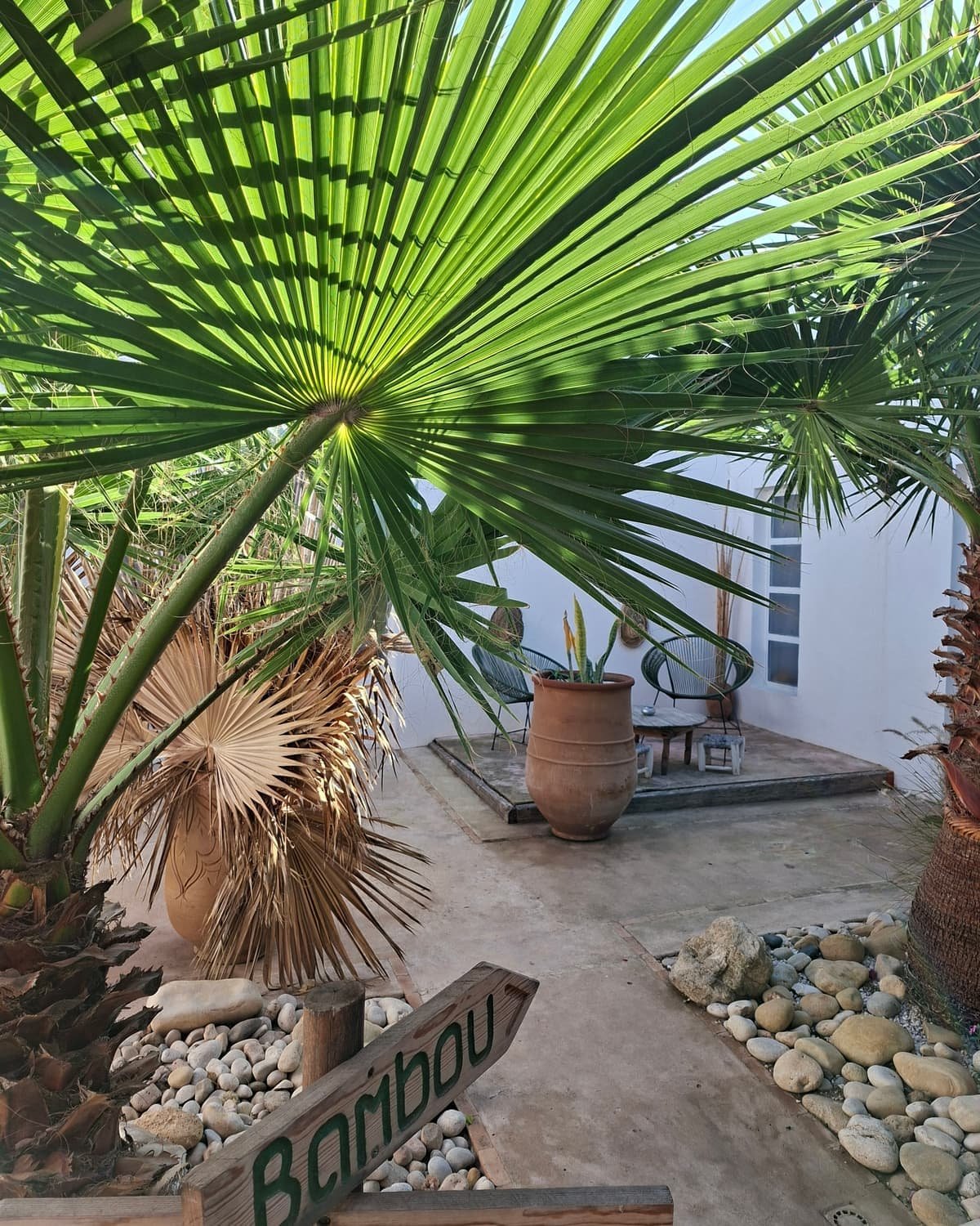 Le patio ombrage de palmes, sa jarre et son panneau de bois