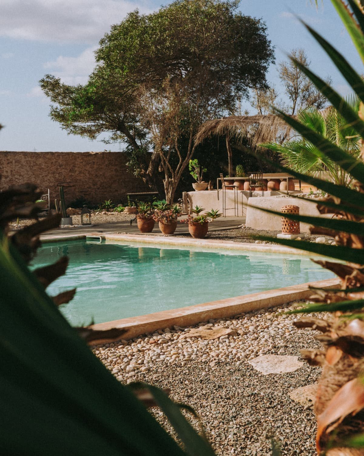 La piscine bordee de bois, sous les arbres du jardin