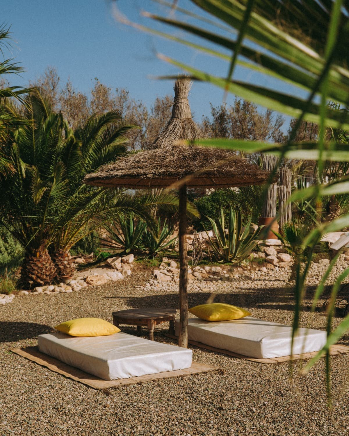 Bains de soleil sous un parasol de paille, entre les cactus