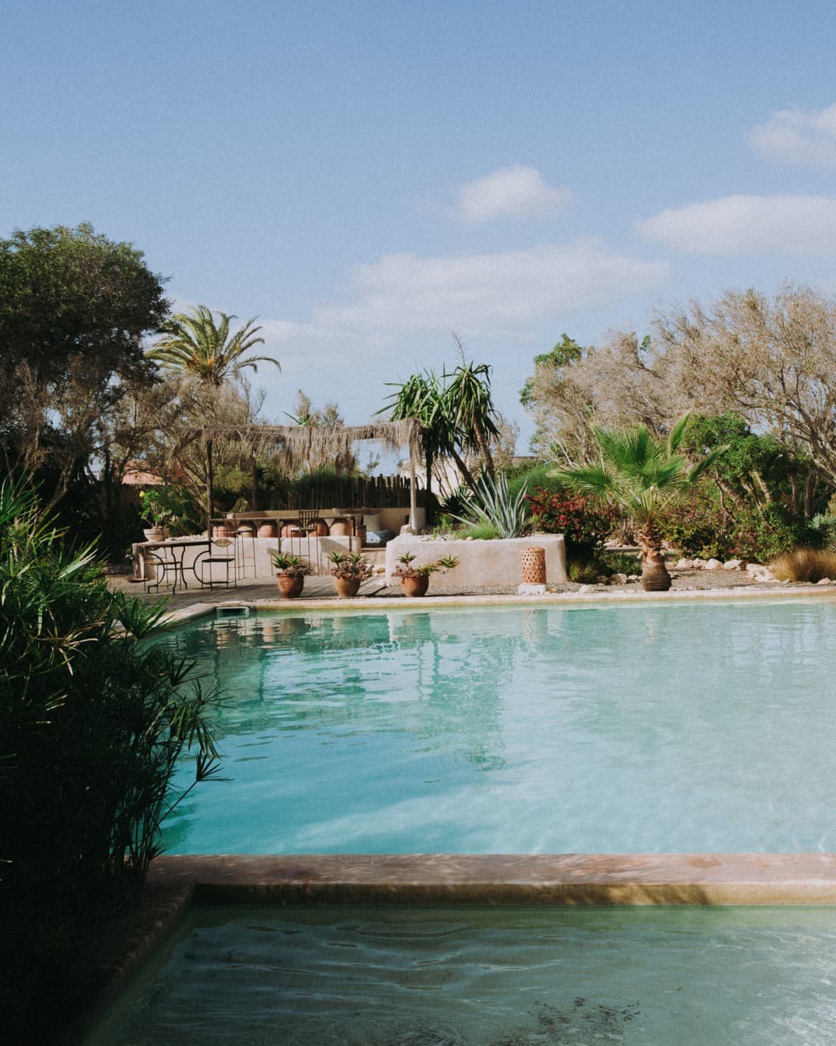 La piscine et son muret, les palmiers en arriere-plan