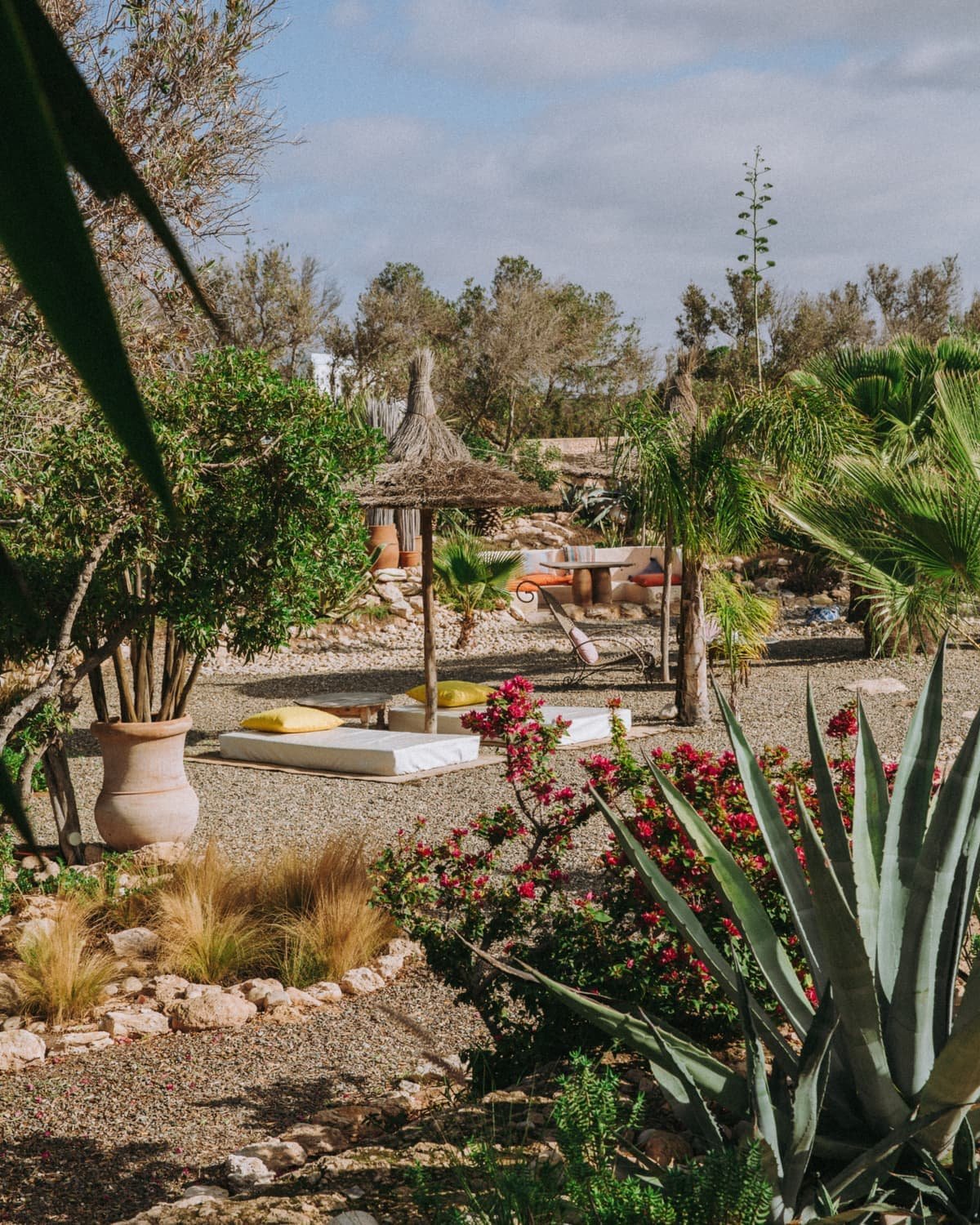 Agaves et aloès dans le jardin de graviers, un lit de repos à l’ombre
