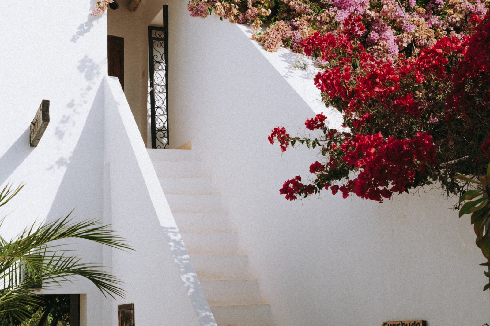 Bougainvilliers roses en fleur sur un mur blanc, au-dessus d’un escalier